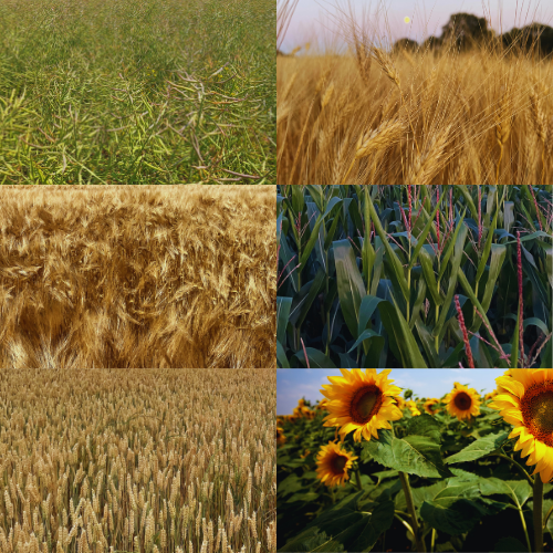 Protection des cultures